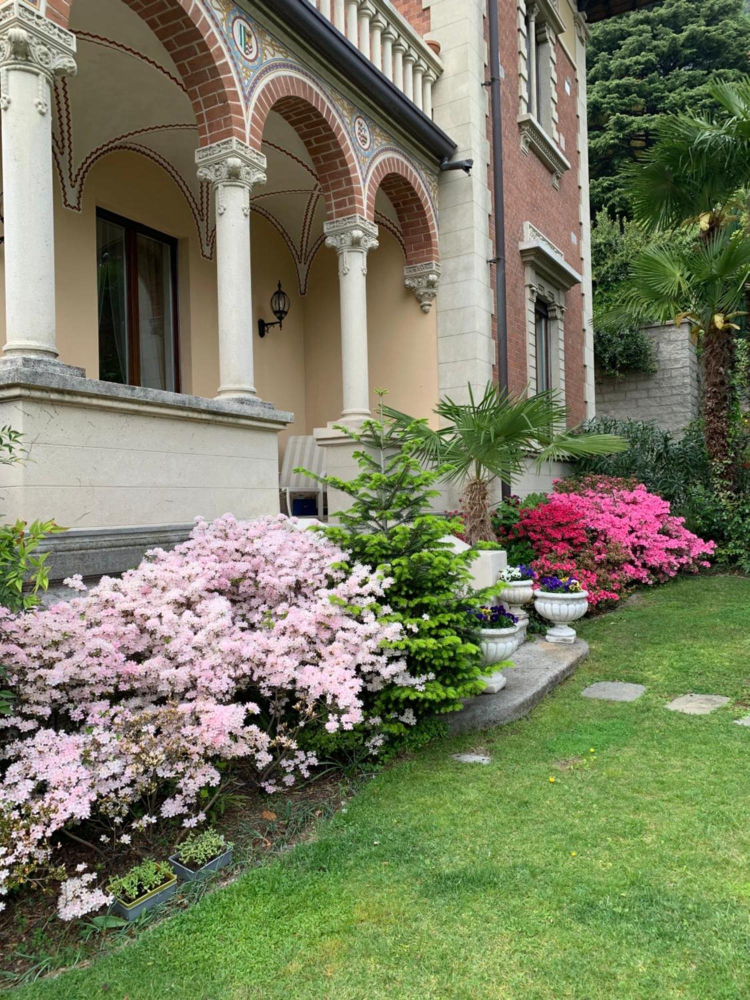 Villa Castiglioni Luxury Apartment Laglio Extérieur photo